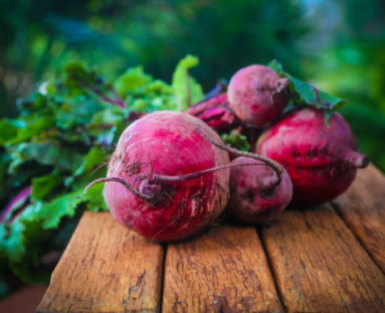 Zakwas z buraków – dlaczego warto?