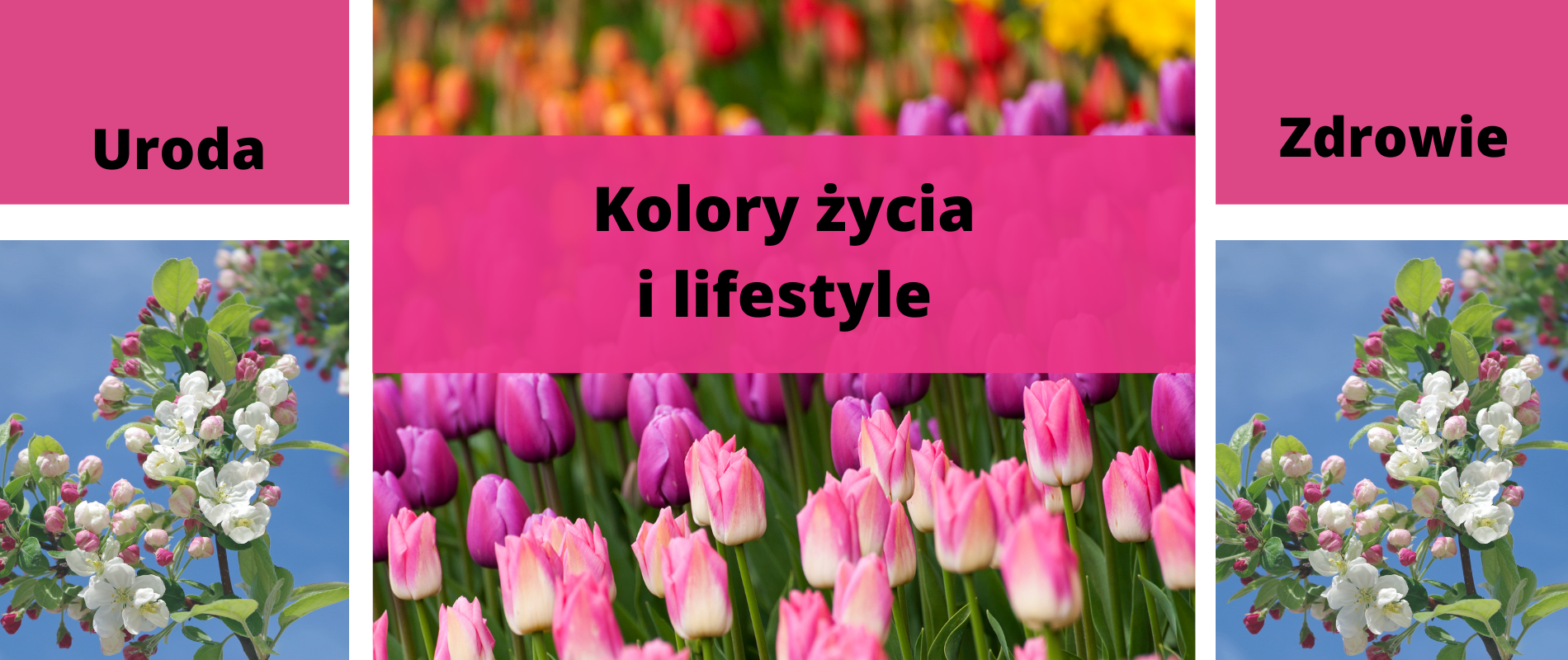 Kolory życia